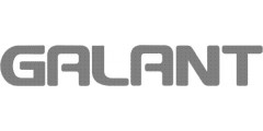 Galant Decal